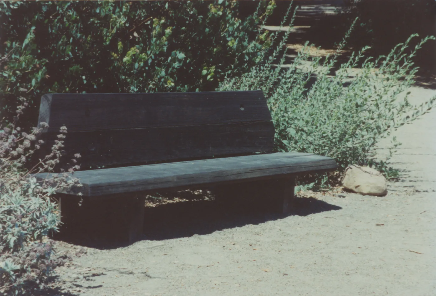 Elizabeth Howland Bench, 1973, Meadow