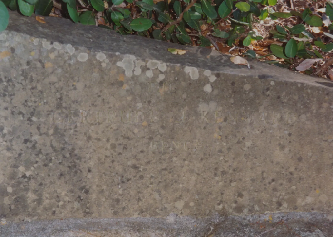 Gertrude Kenward Bench, 1970, Island Section