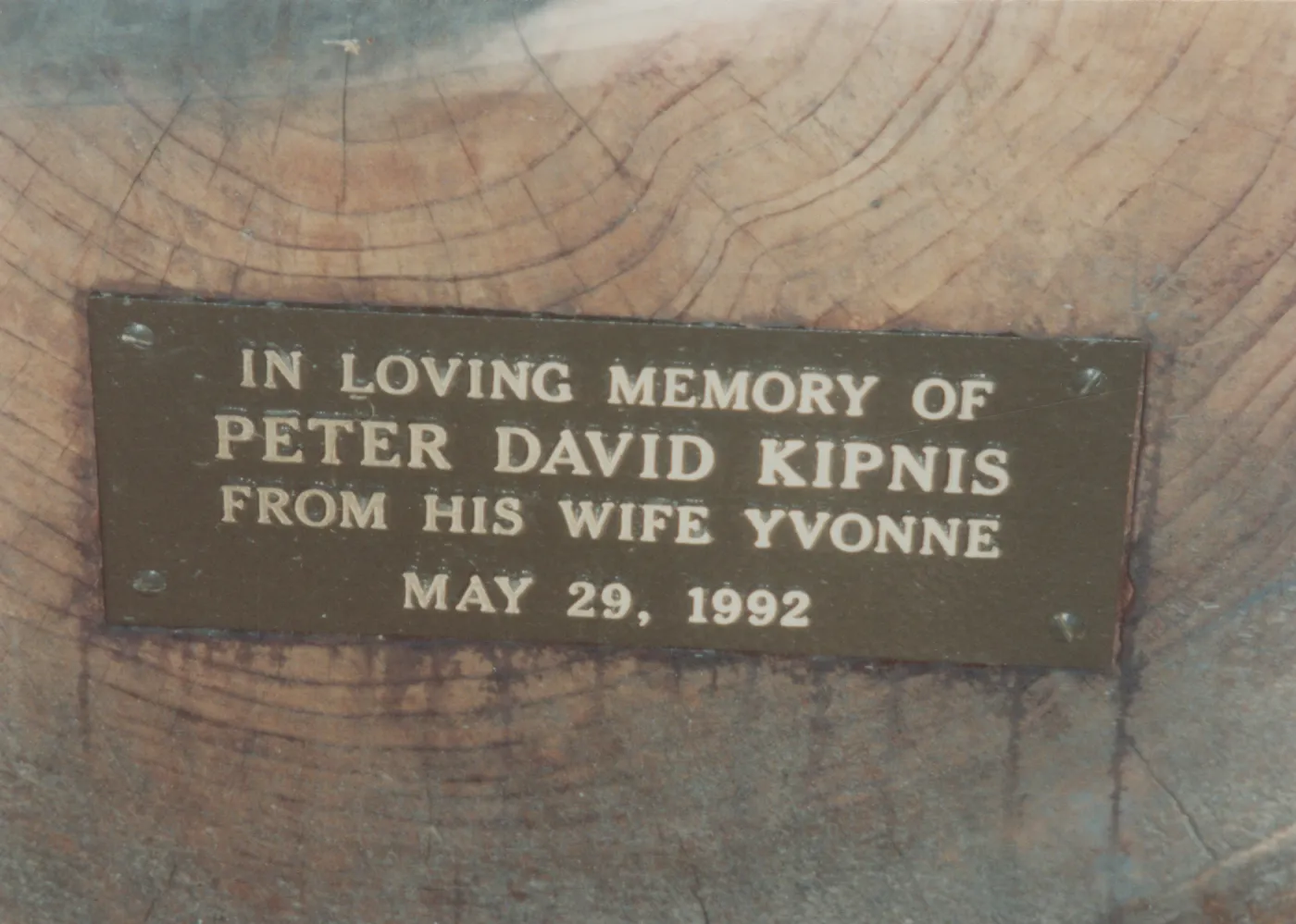Peter David Kipnis Bench, 1992