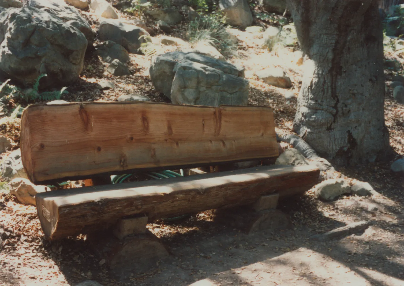 Peter David Kipnis Bench, 1992