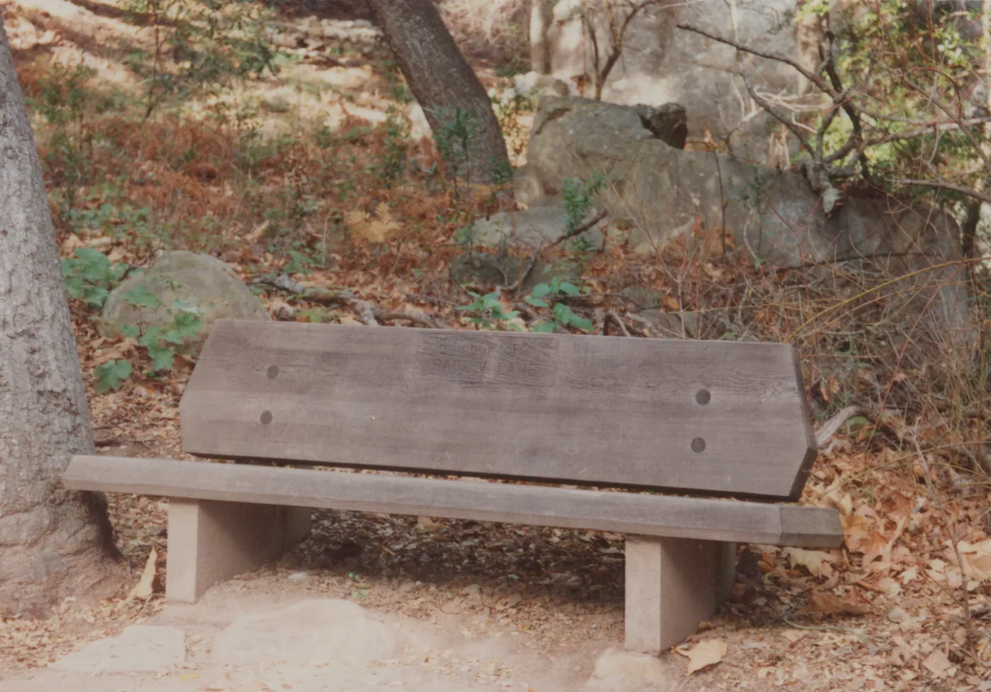 Paul V. Lane Bench, 1972