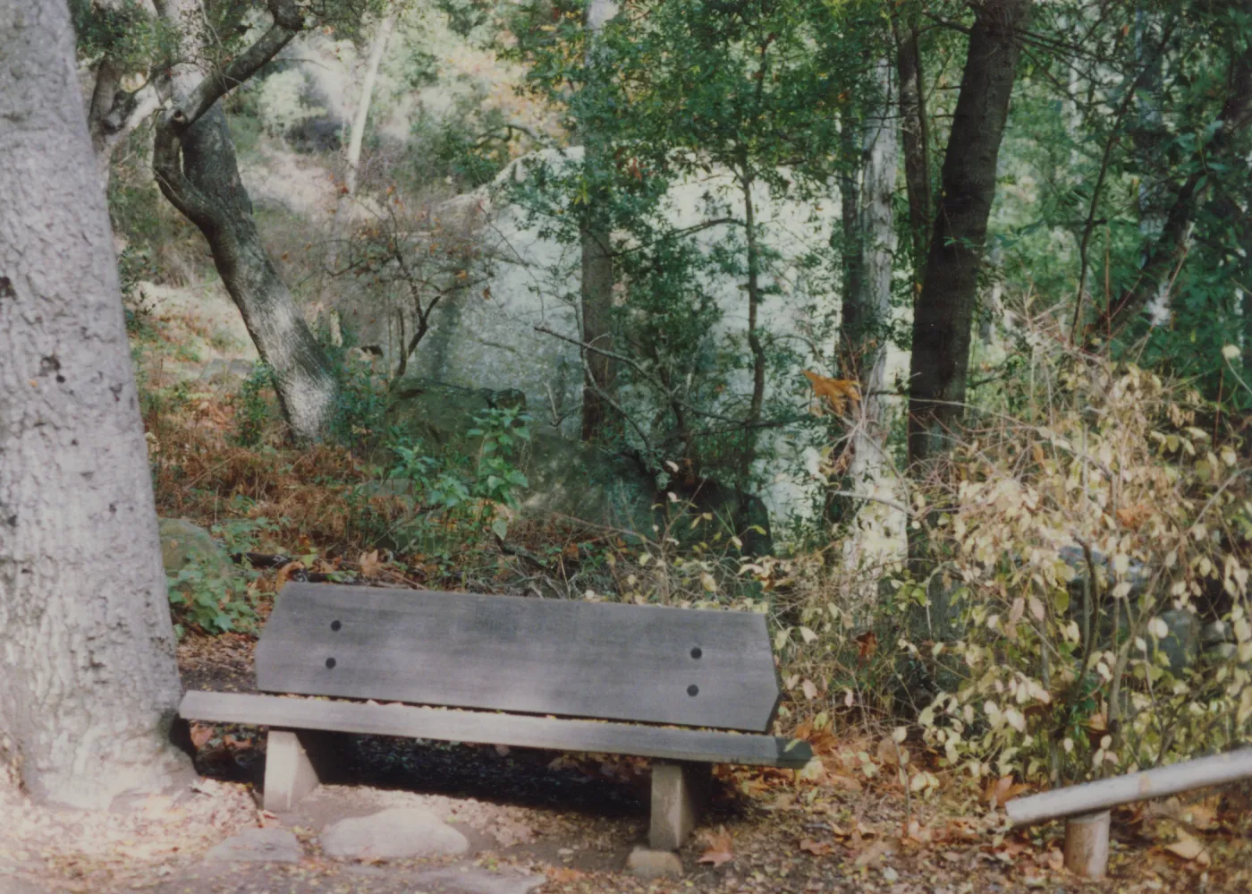 Paul V. Lane Bench, 1972