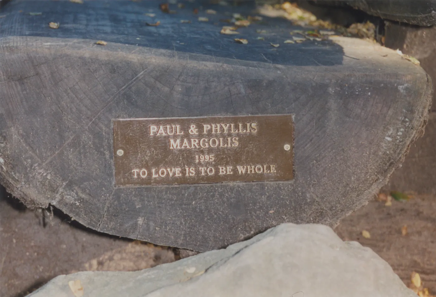 Paul & Phyllis Margolis Bench, 1995