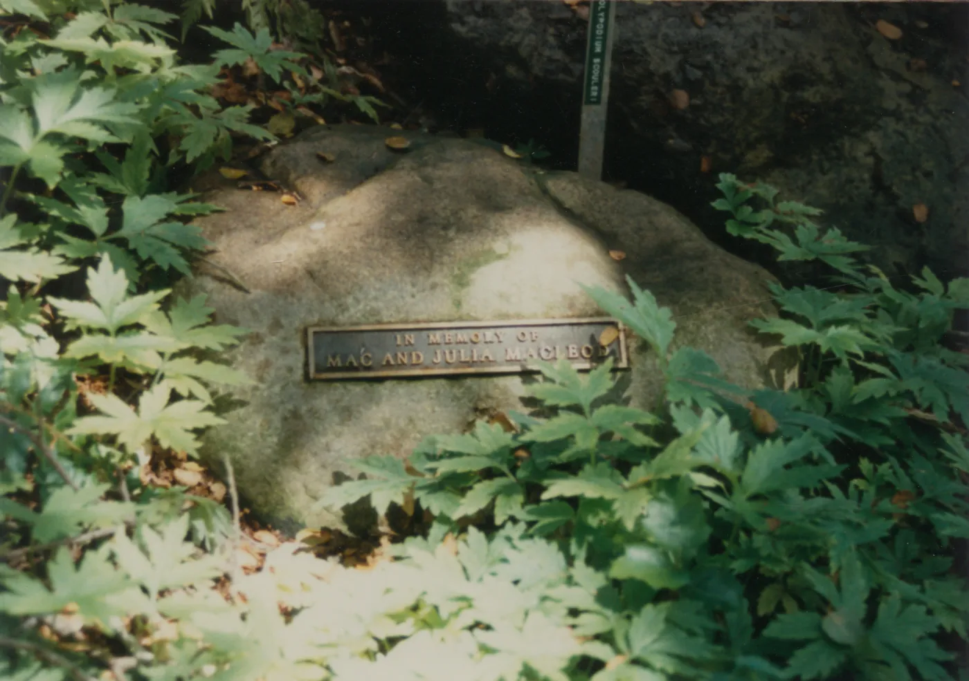 Mac and Julia Macleod, stone water basin with plaque, 1986