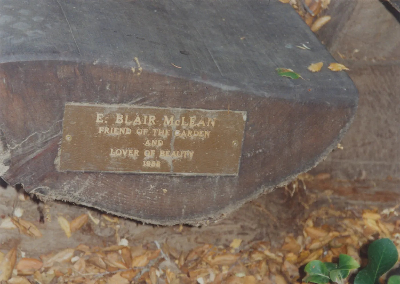 E. Blair McLean Bench, 1990, Manzanita Section