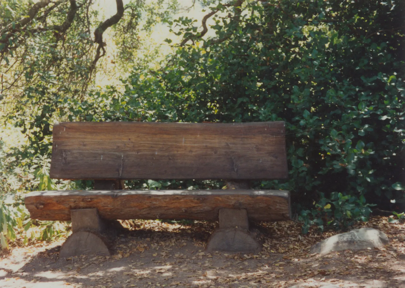 E. Blair McLean Bench, 1990, Manzanita Section