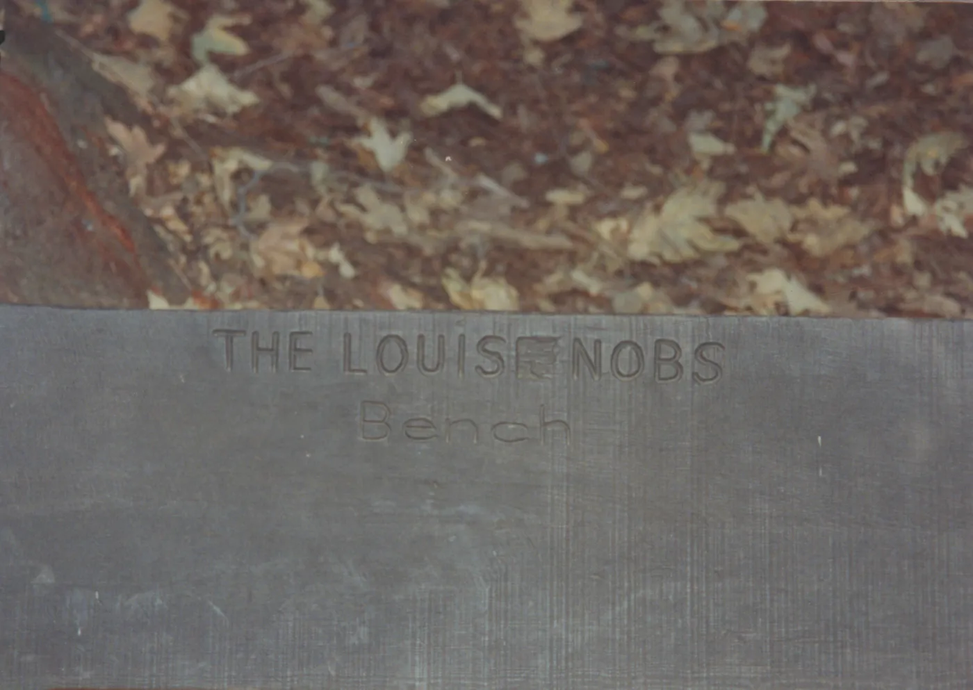 The Louise Nobs Bench, 1972, Redwood Section