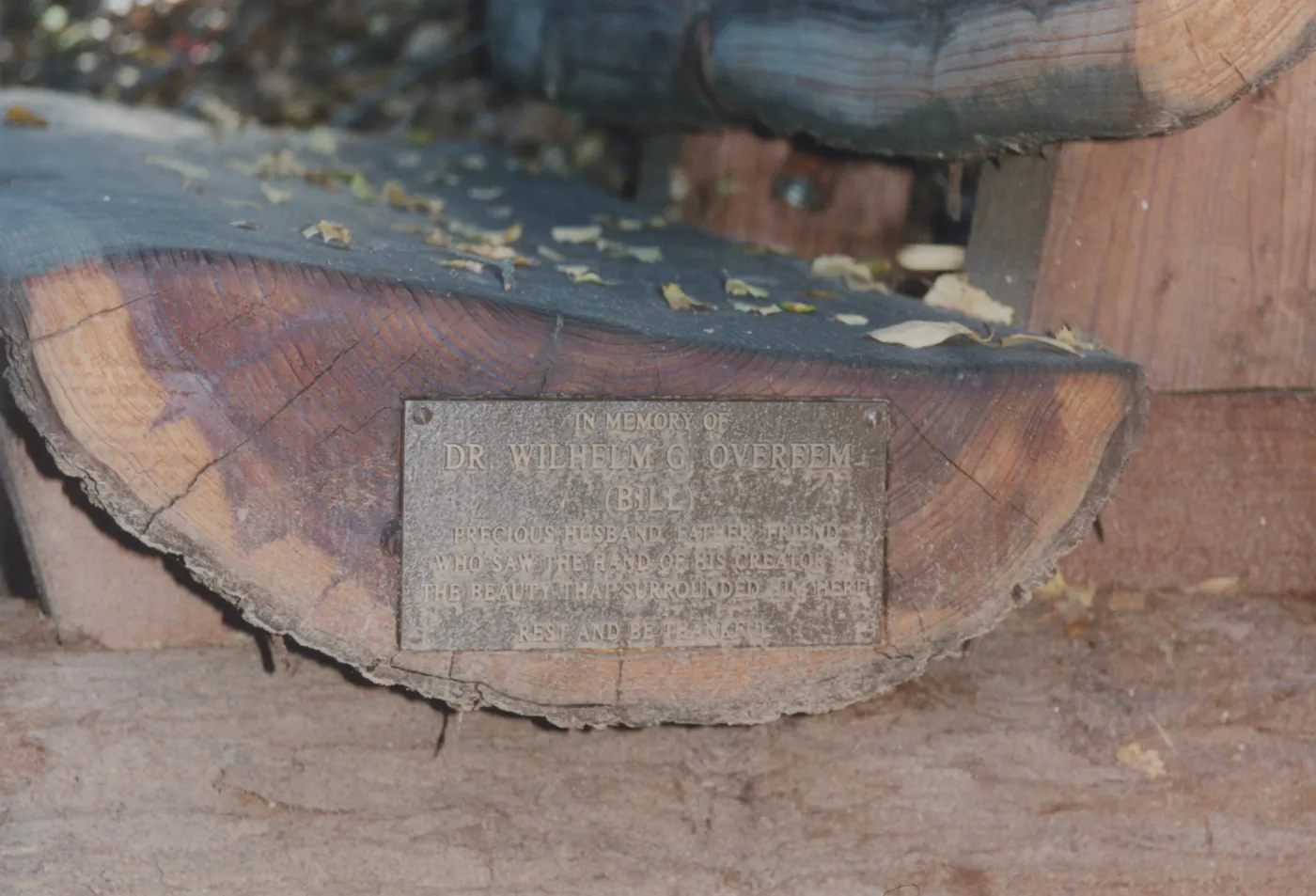 Wilhelm G. Overeem Bench, 2001, Island Section