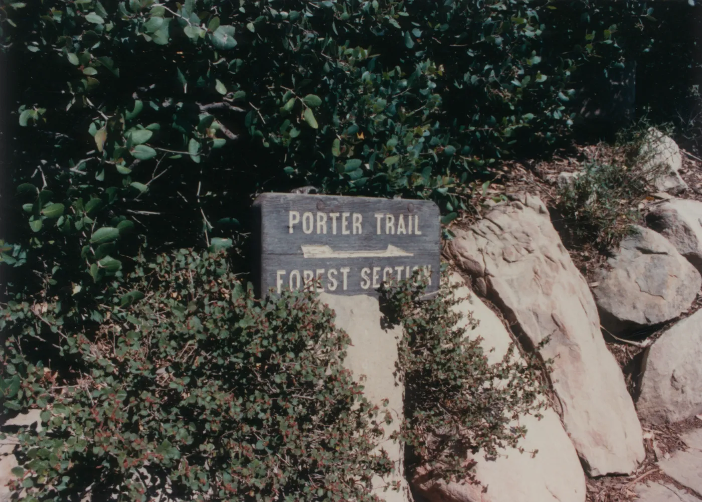 Porter Trail, Forest Section, wood sign