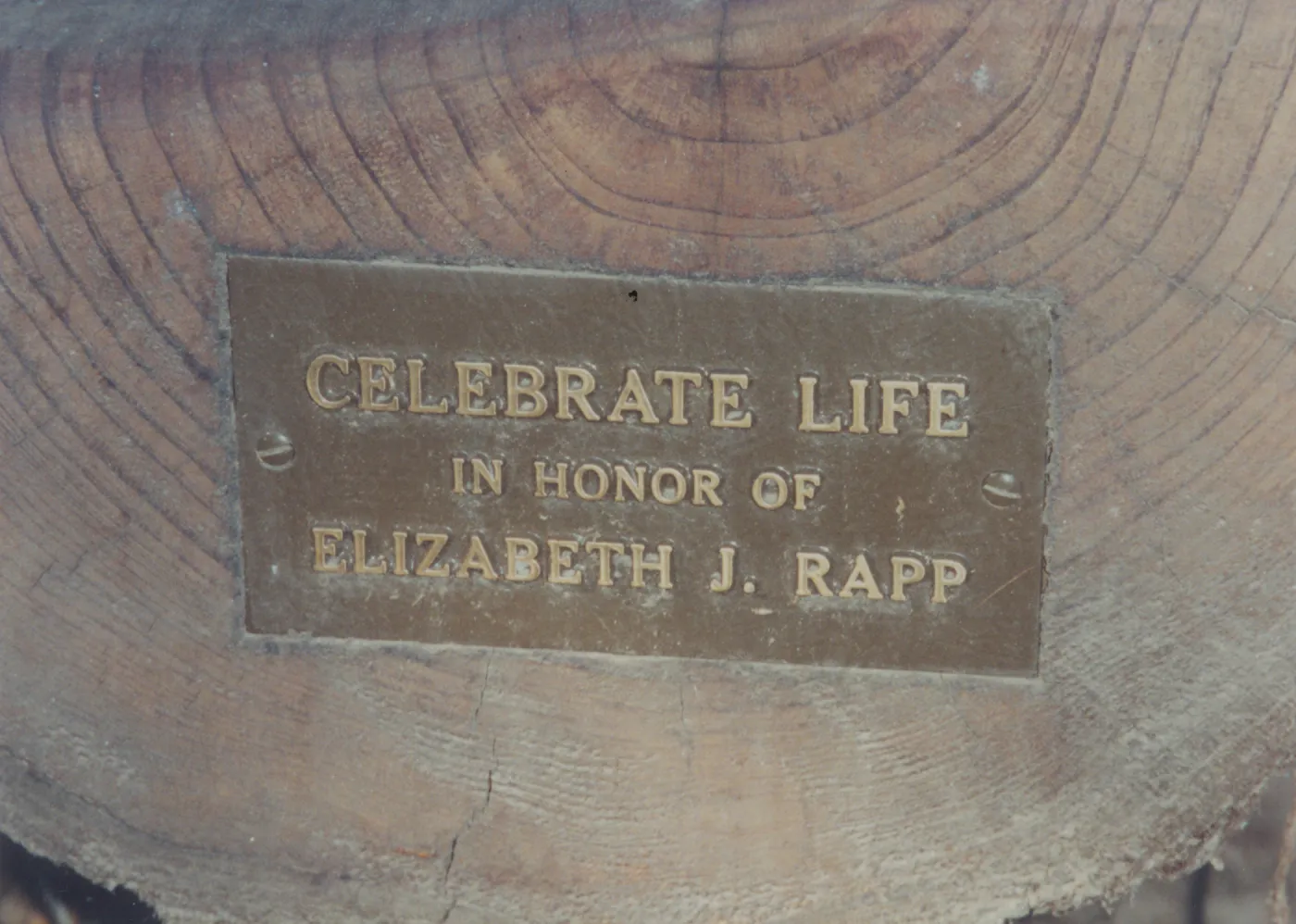 Elizabeth J. Rapp Bench, 1992, Island Section