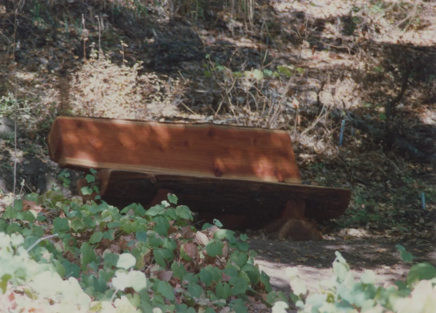 Elizabeth J. Rapp Bench, 1992, Island Section