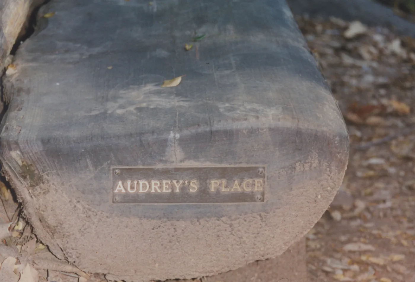 Audrey Rodgers Bench, 1996