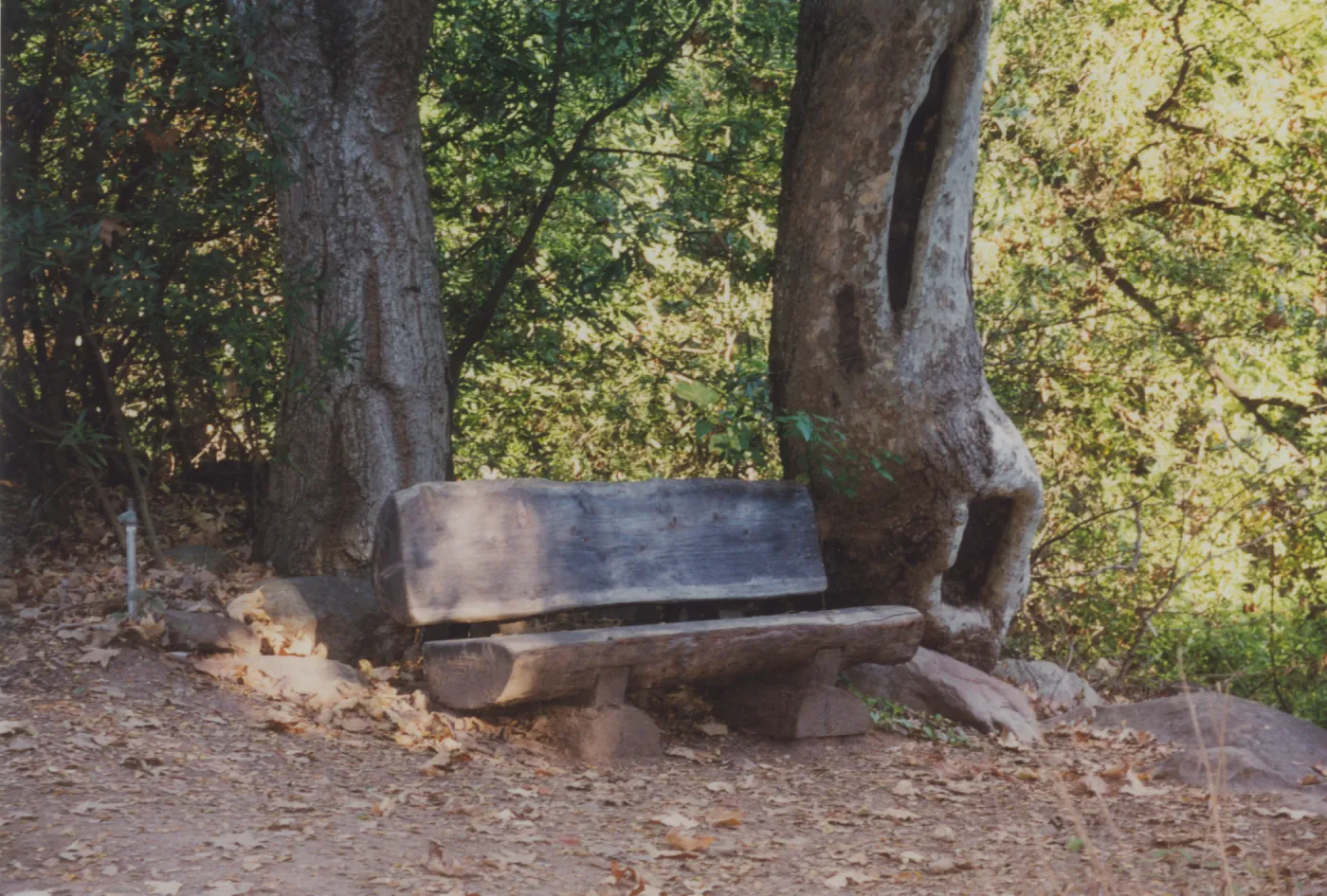 Audrey Rodgers Bench, Canyon