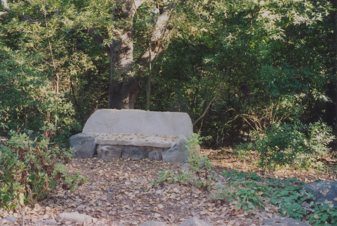 Evelyn Studebaker Bench, 2001, Island Section
