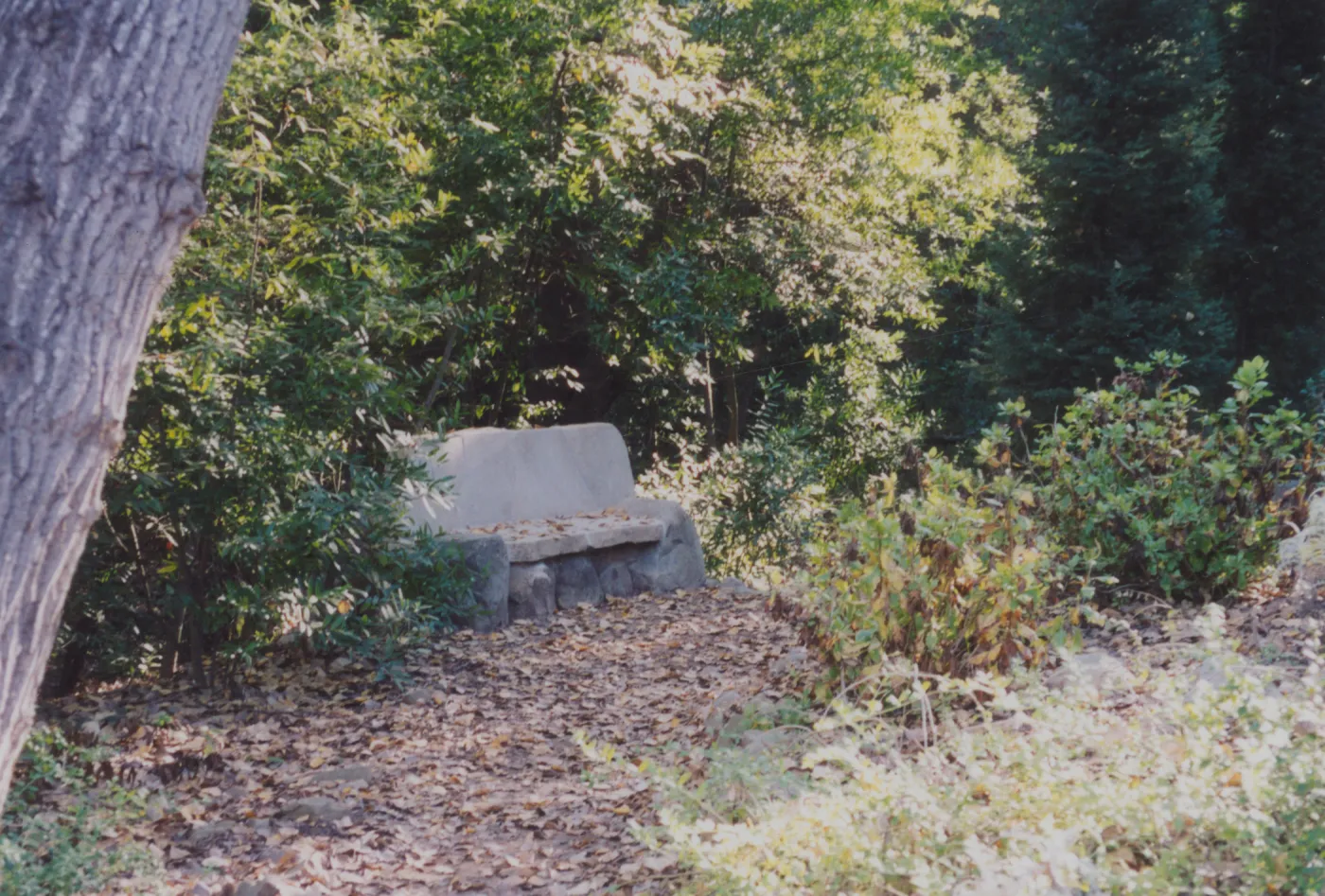 Evelyn Studebaker Bench, 2001, Island Section