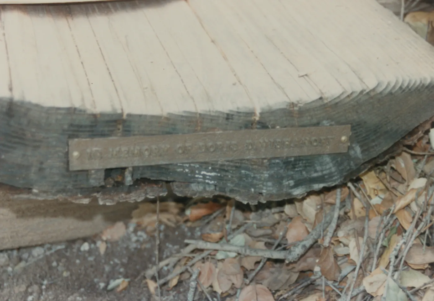 Boris D. Vishanoff Bench, 1980