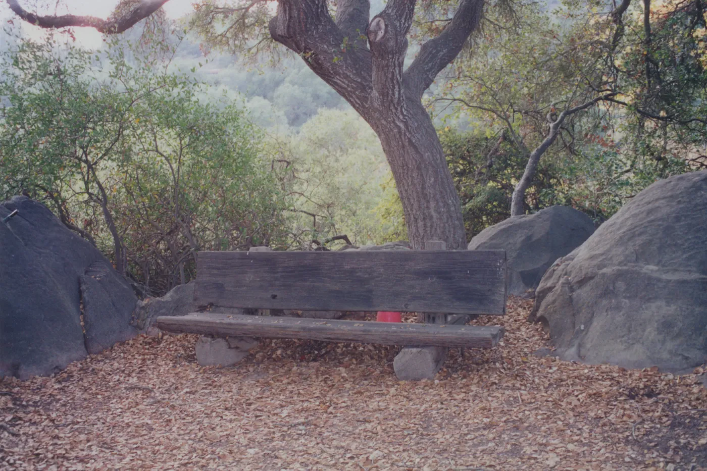 Joyce W. Webb Bench, 1979, new location behind kiosk (removed)