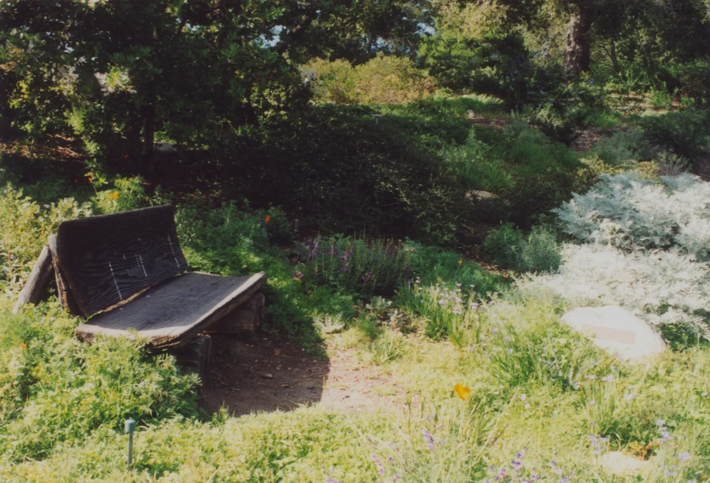 Esther Elizabeth Groves Wheeler Bench, 1981, Porter Trail