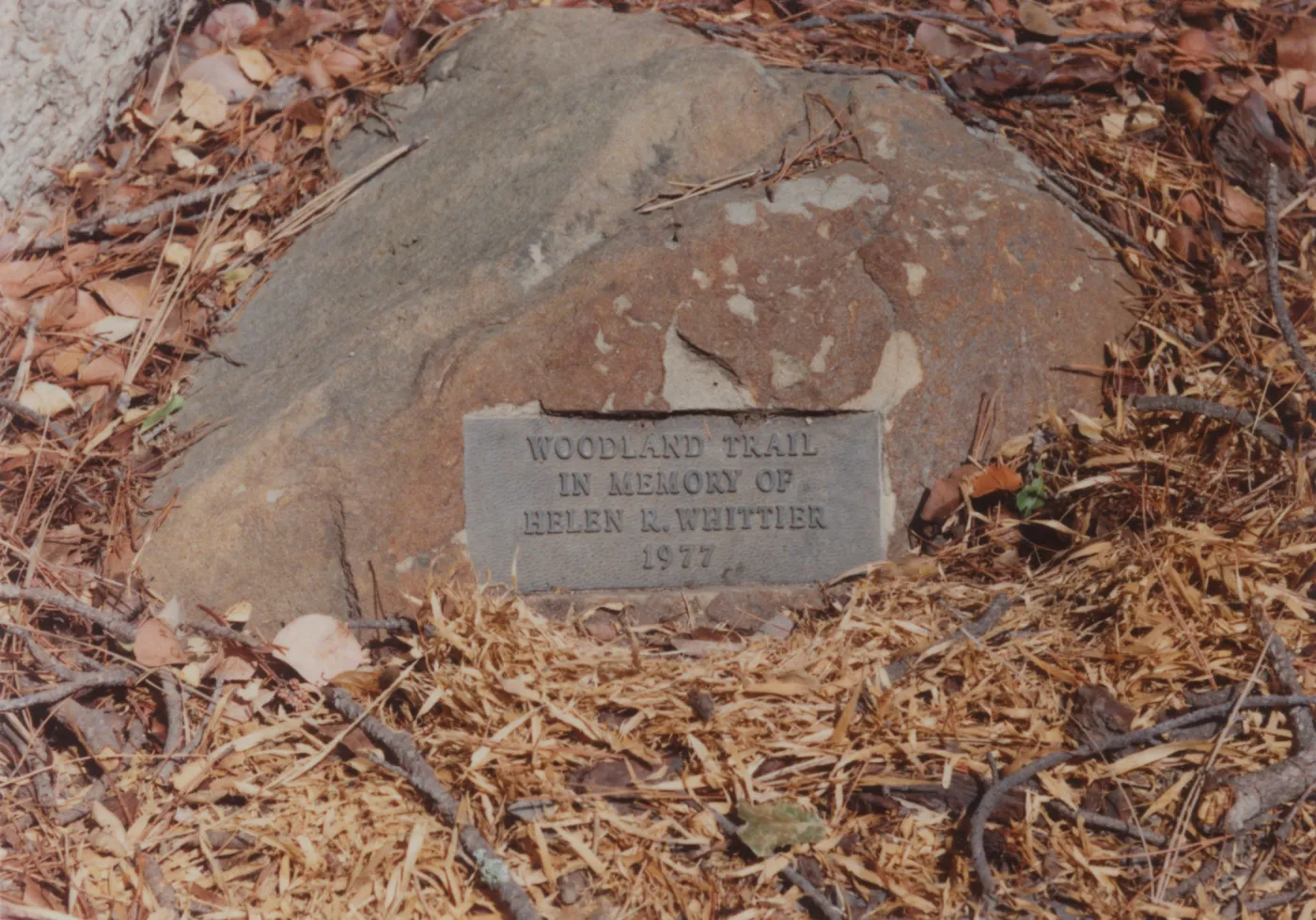 Helen R. Whittier Plaque, 1977, Woodland Trail
