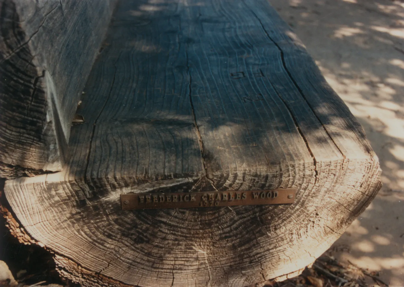 Frederick Charles Wood Bench, 1970, Porter Trail (replaced by new stone bench, 1977)