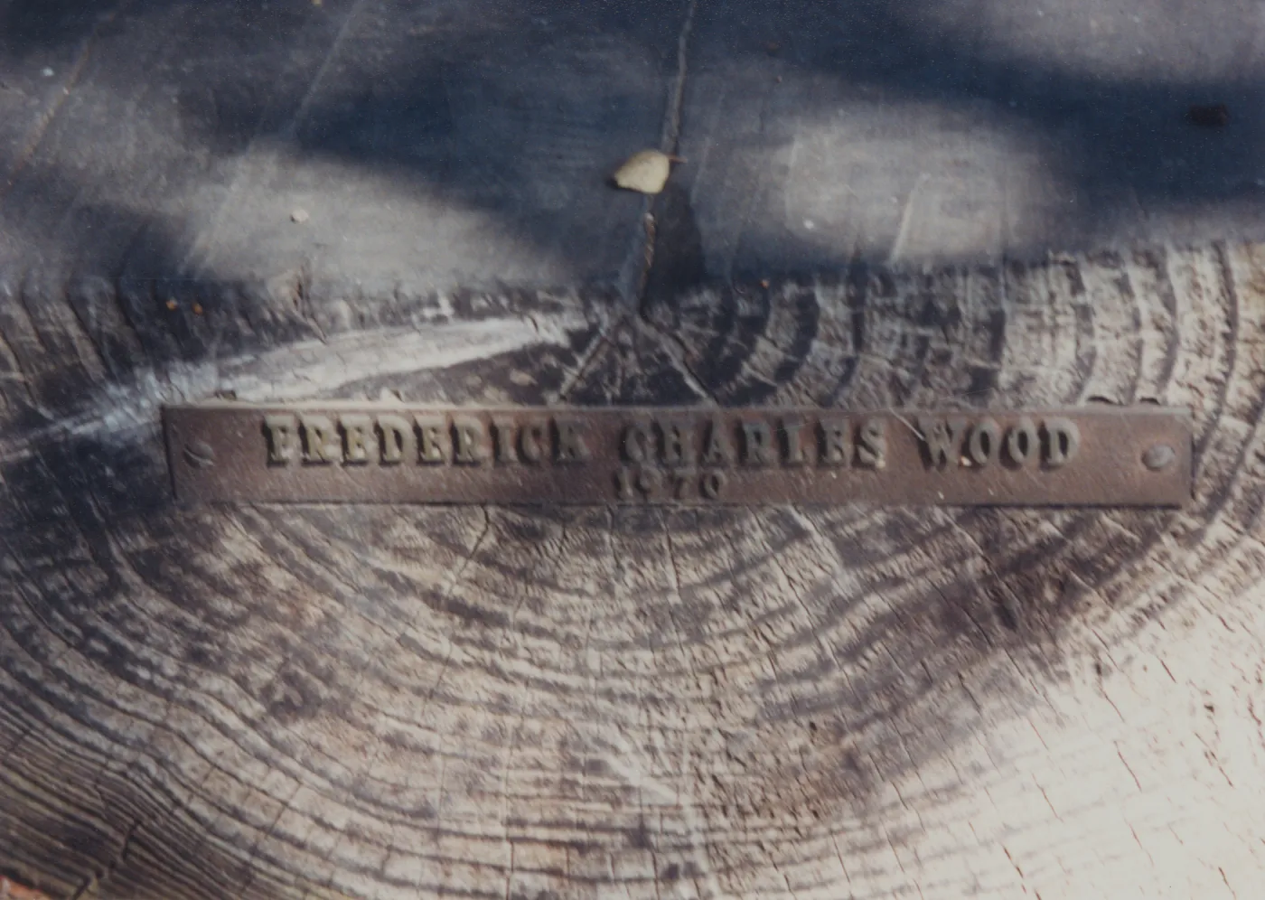 Frederick Charles Wood Bench, 1970, Porter Trail (replaced by new stone bench, 1977)