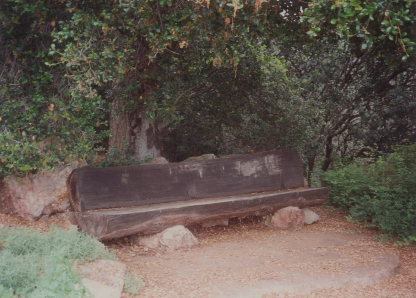 Frederick Charles Wood Bench, 1970, Porter Trail (replaced by new stone bench, 1977)