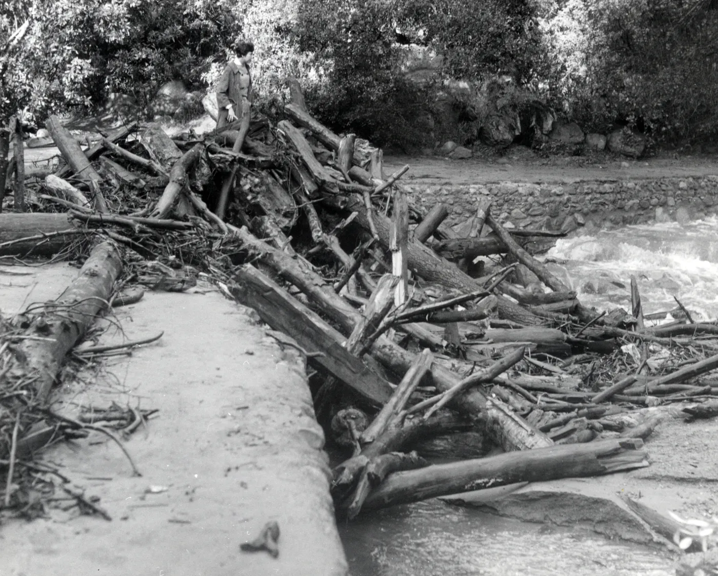 Logs deposited on Mission Dam by storm waters