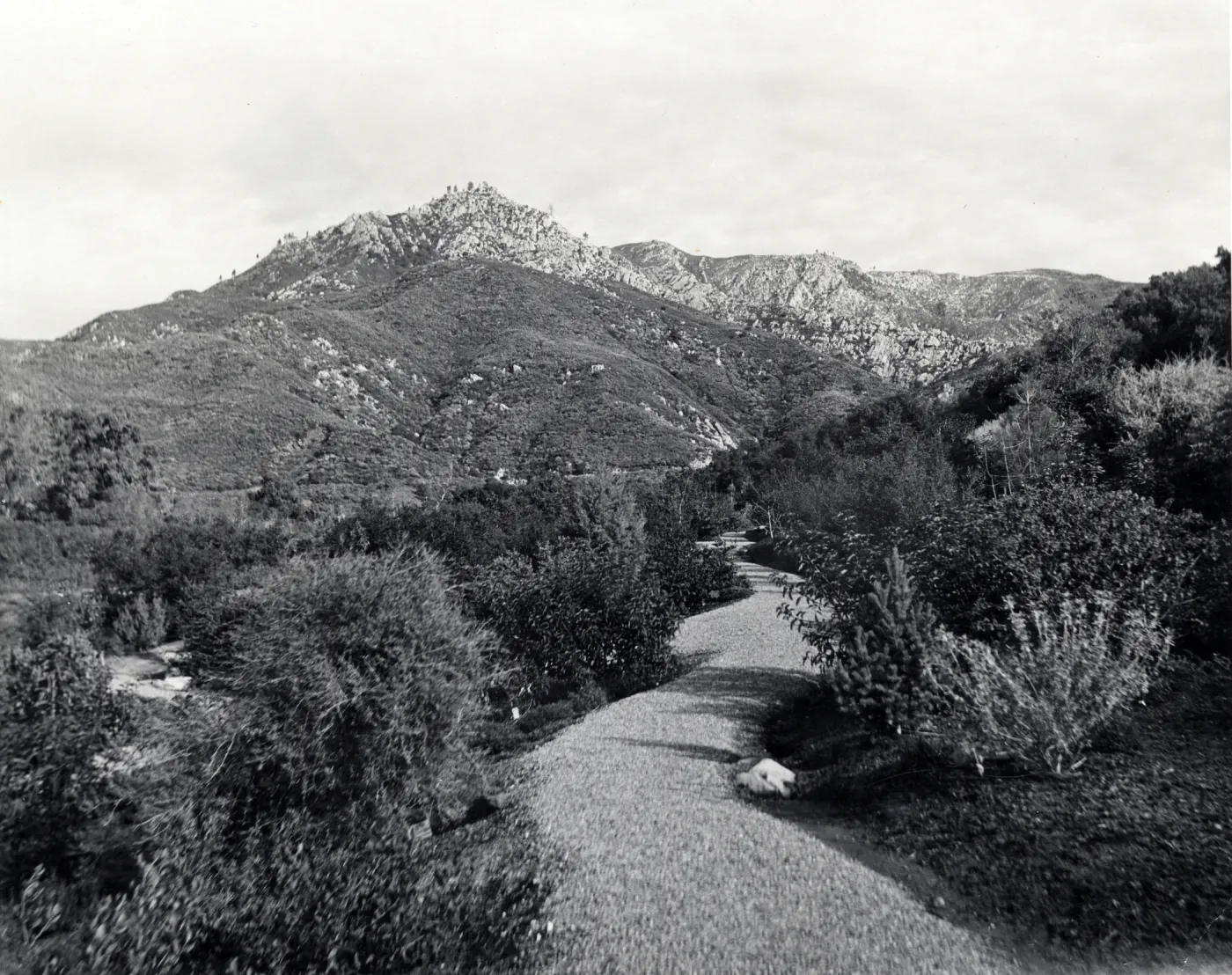 Foothill Trail