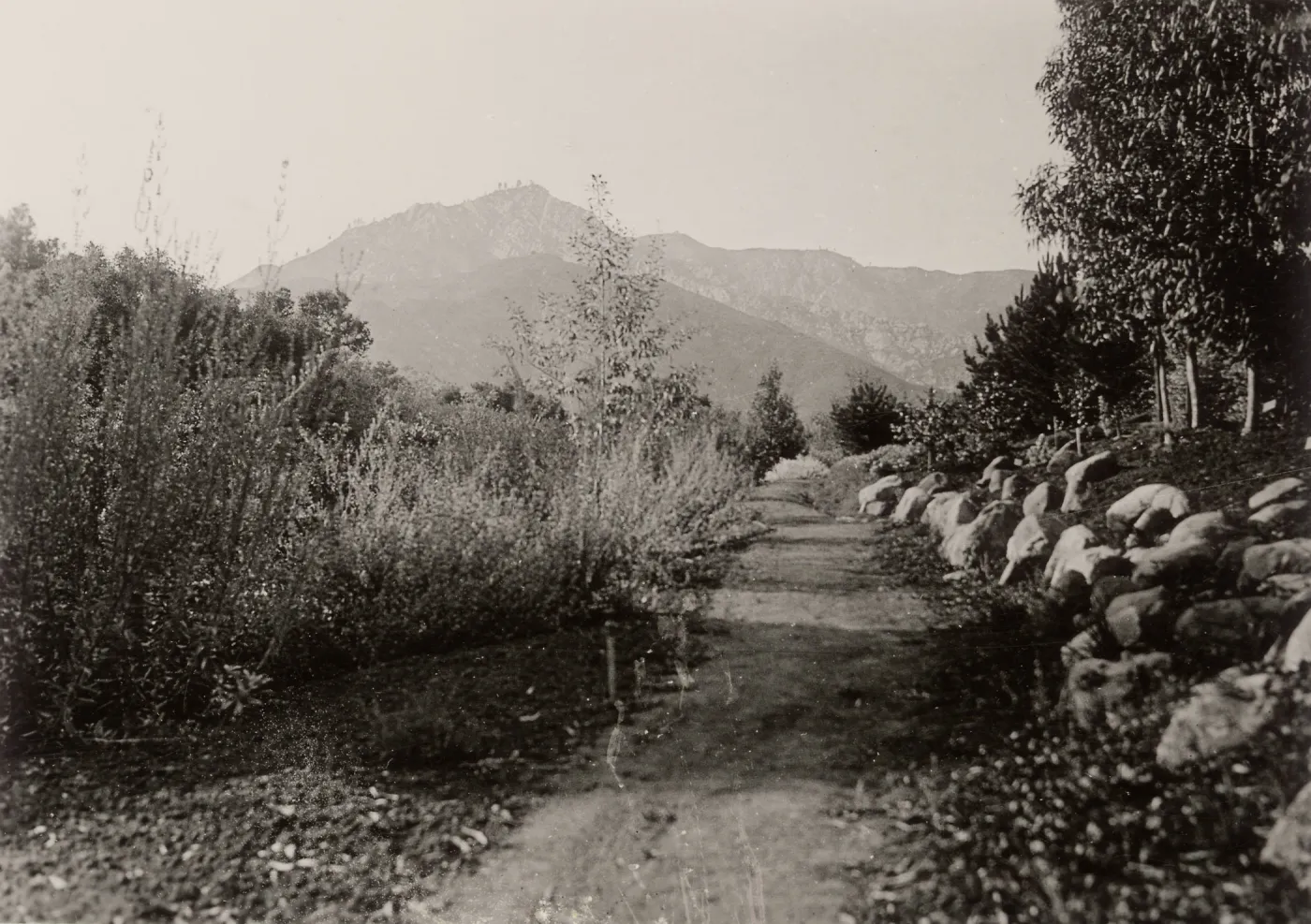 SBBG 1930s, Mission Canyon, old Foothill Trail or old Island Trail, SBBG, La Cumbre Peak, Cathedral Peak