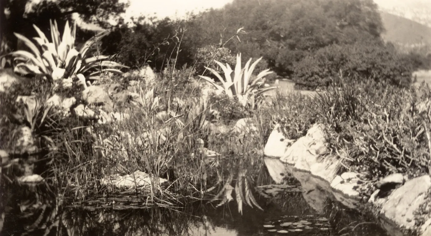 historic pond, SBBG, circa 1933, 1930s