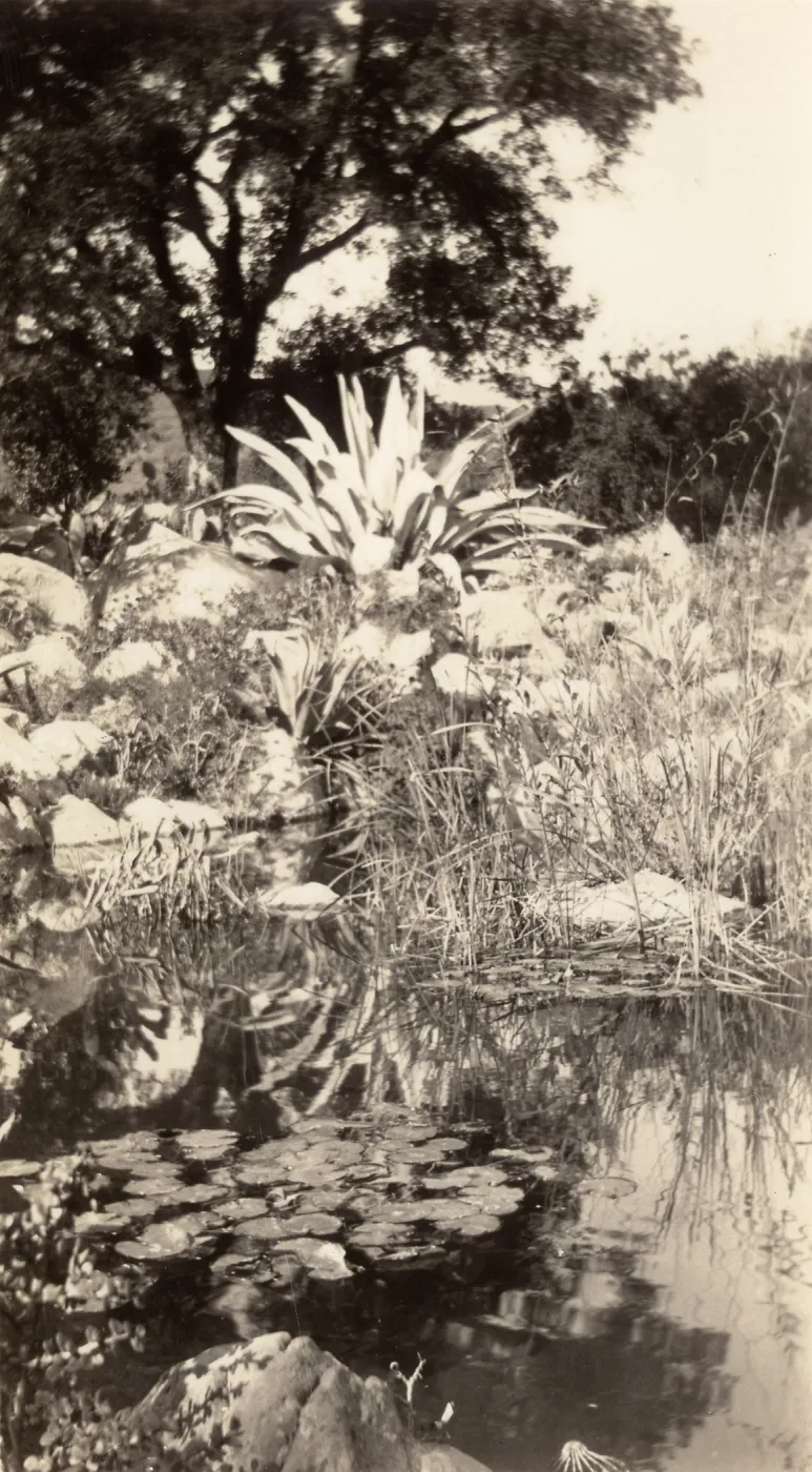 historic pond, SBBG, circa 1933, 1930s