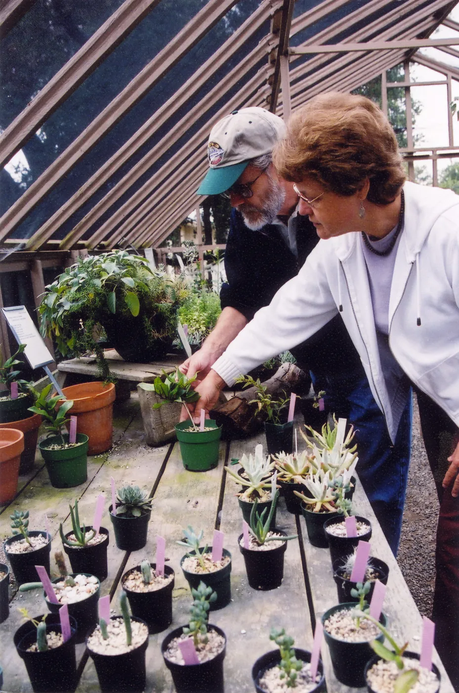 Visitors in nursery