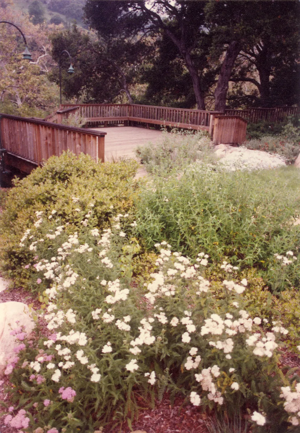 Home Demonstration Garden