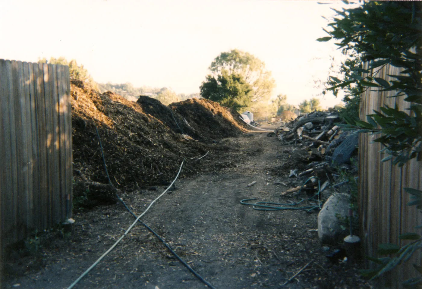 Mulch pile on ridge above Hort Unit that caught on fire and was removed