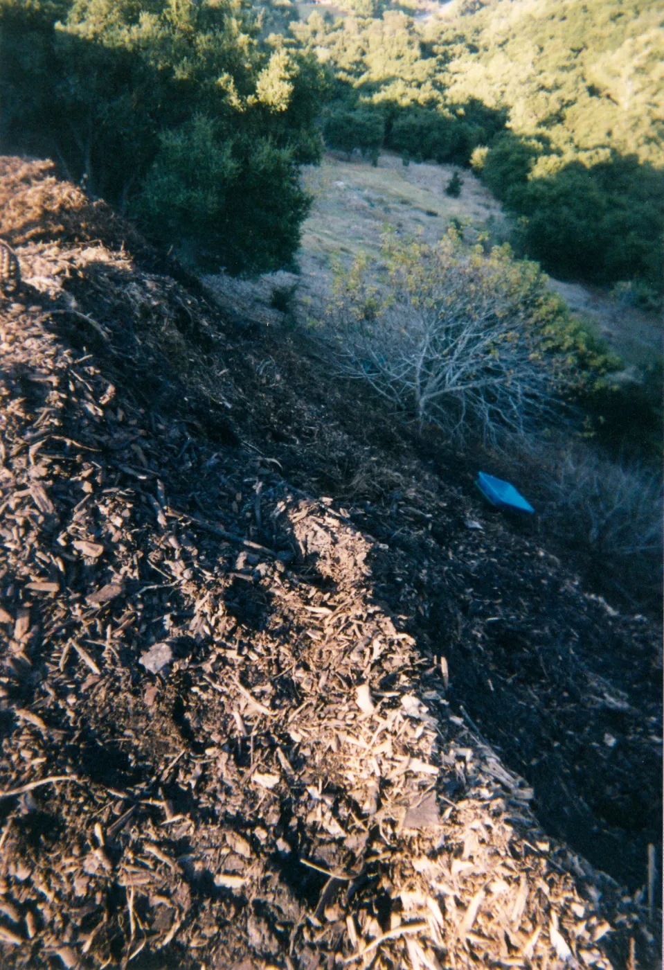 Mulch pile on ridge above Hort Unit that caught on fire and was removed