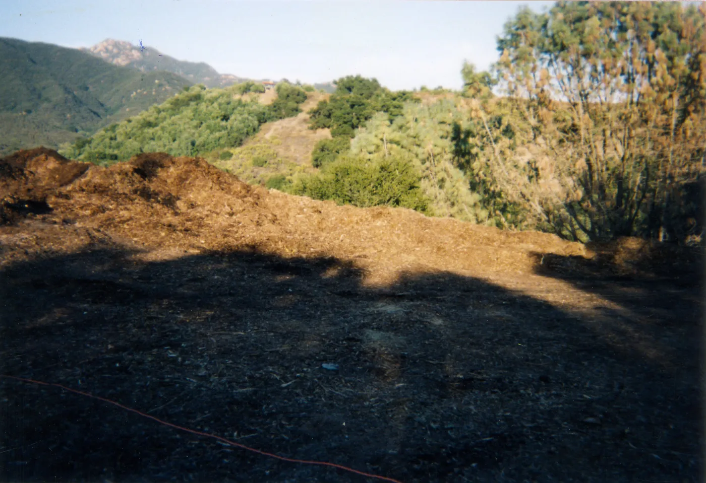Mulch pile on ridge above Hort Unit that caught on fire and was removed