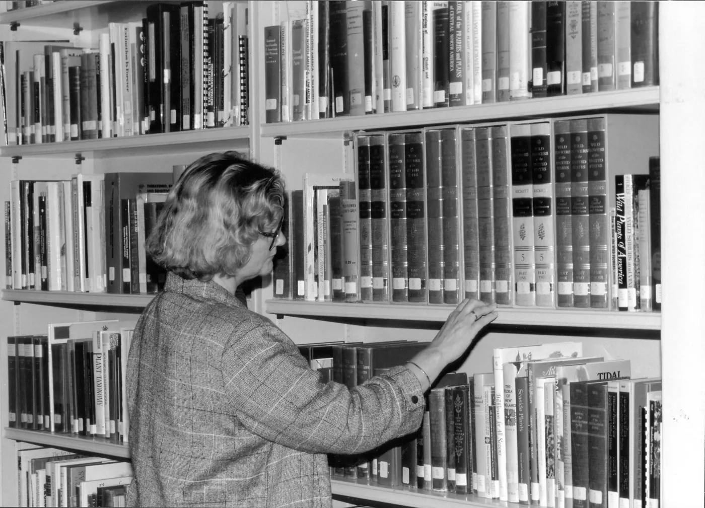 2014 AAM Accreditation Self-Study Documentation: Library (interior)