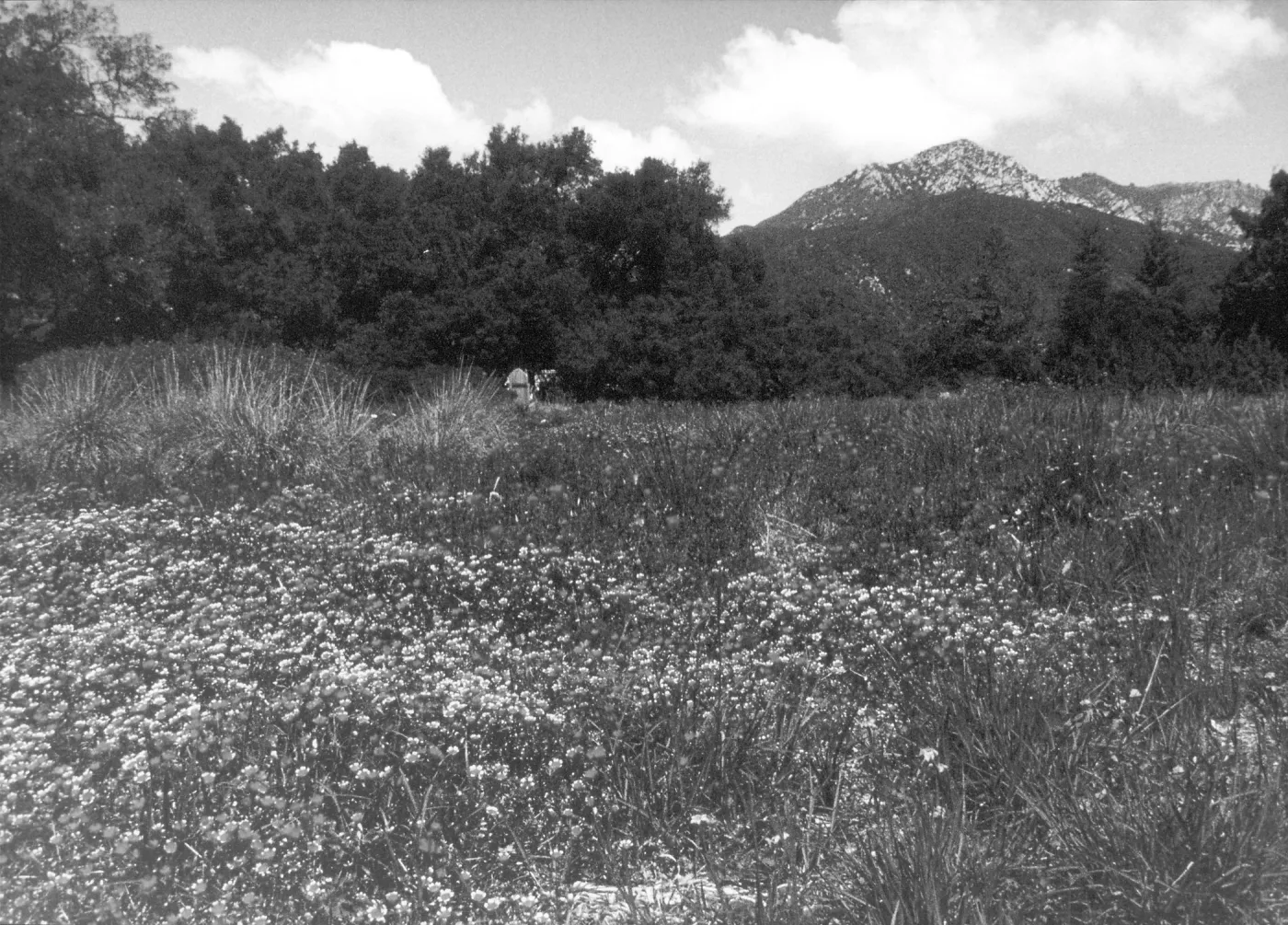 2014 AAM Accreditation Self-Study Documentation: Meadow