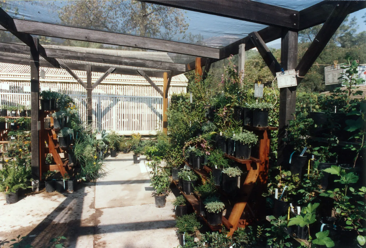 Garden Growers Nursery in late 1990s to early 2000s