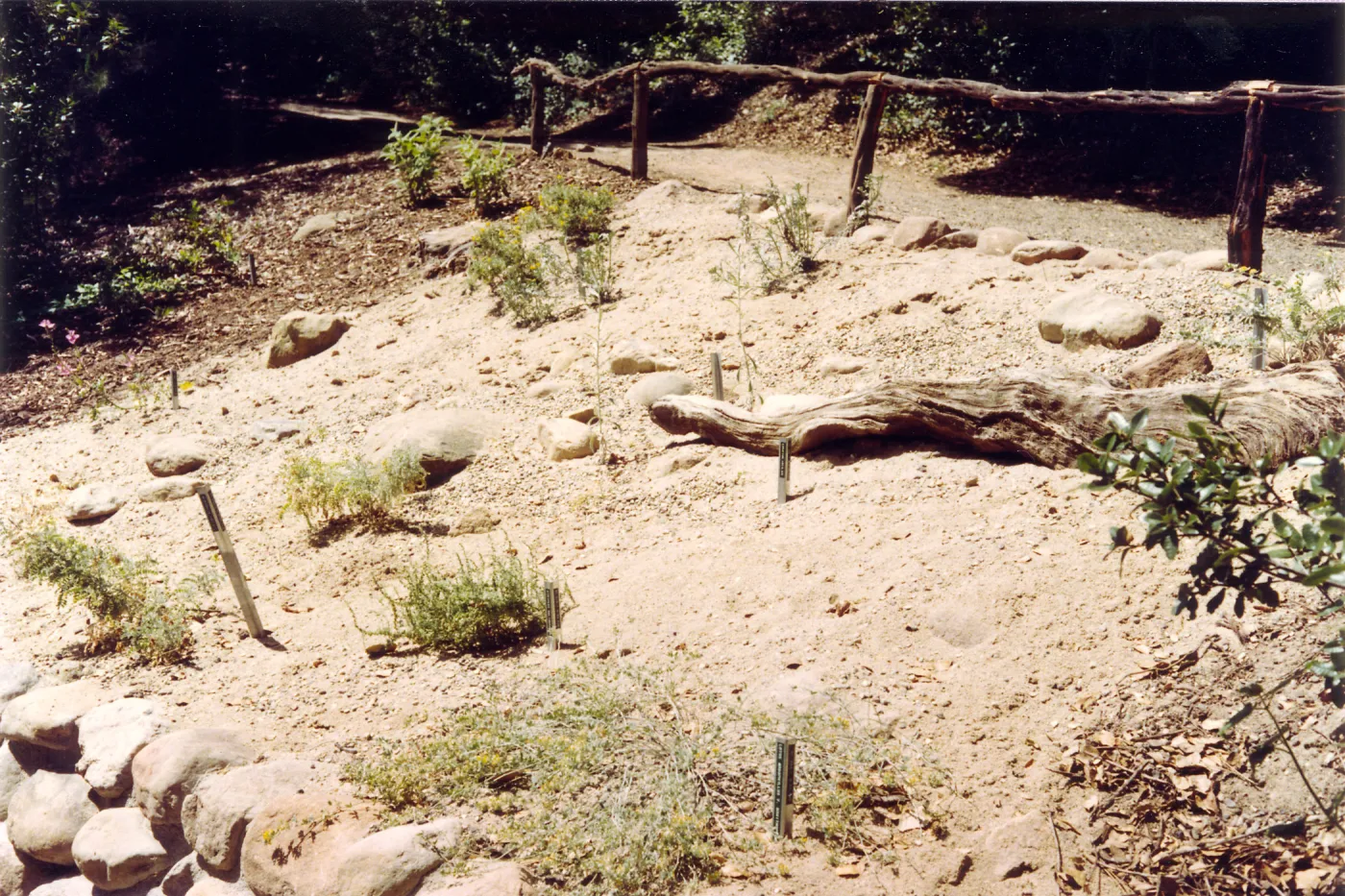 New Dune / Riverbed display in Island Section, summer 1992