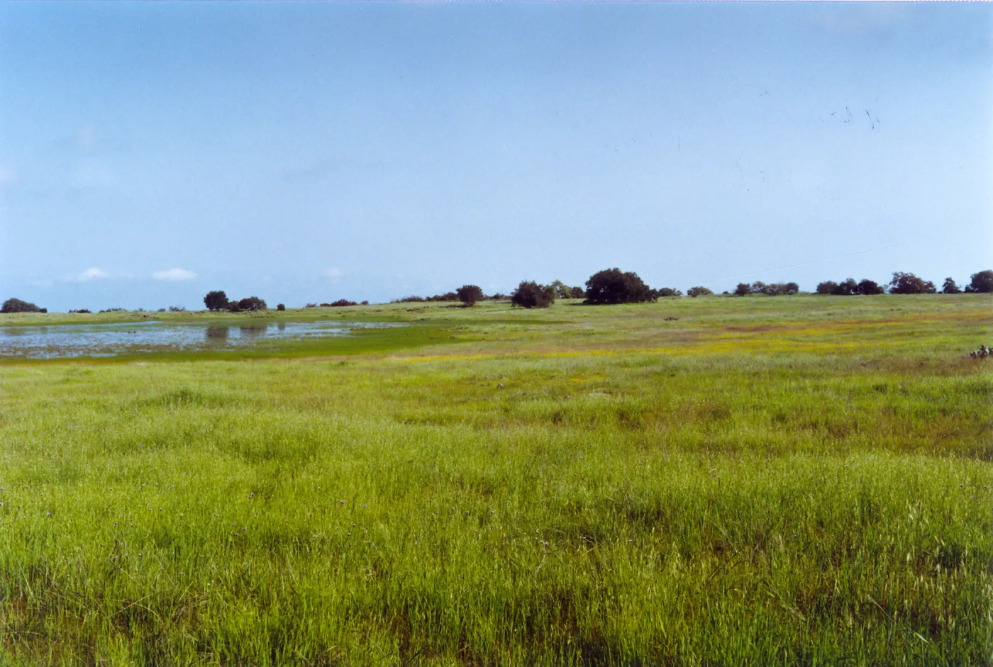Santa Rosa plateau, vernal pools, San Diego County