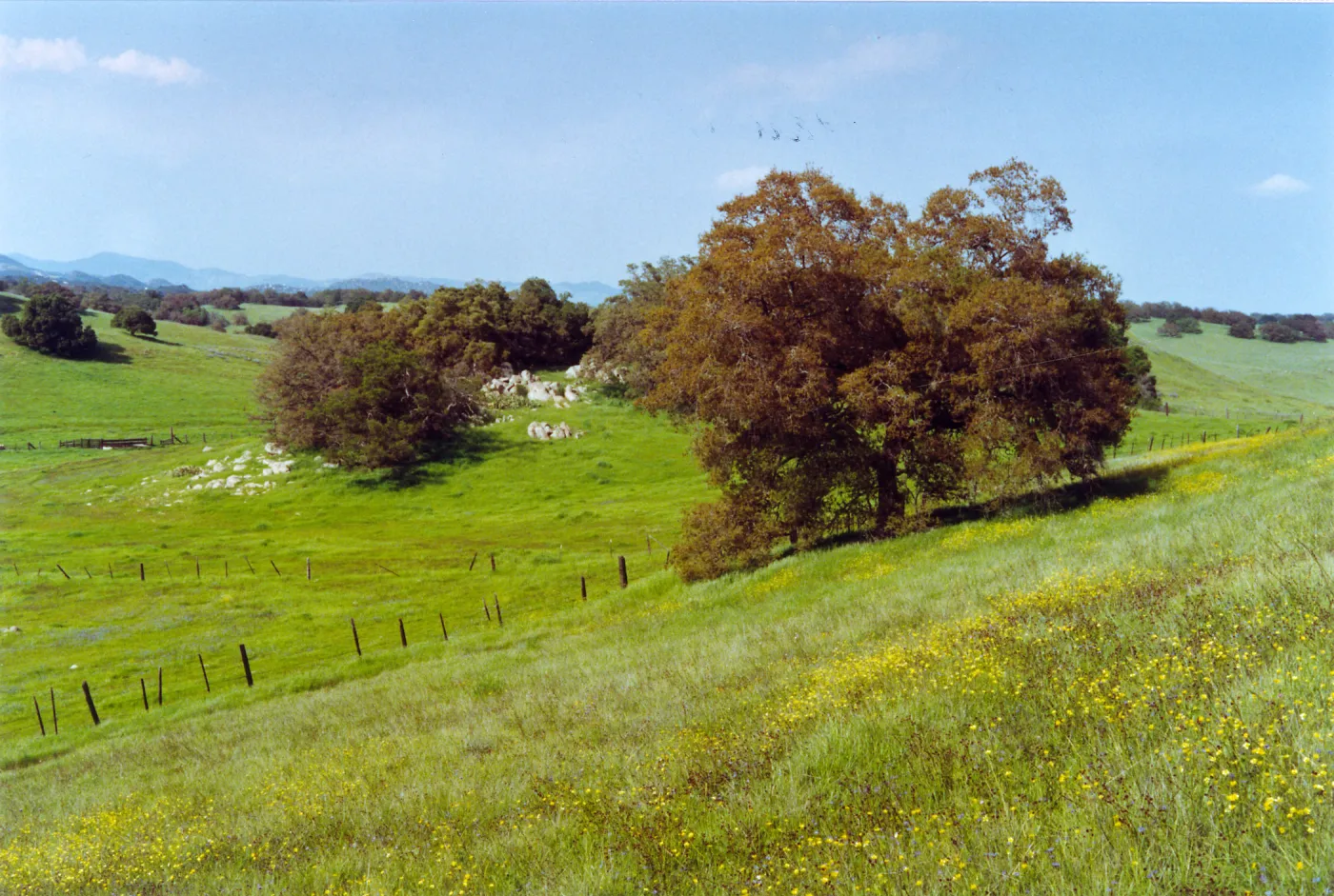Santa Rosa plateau, San Diego County