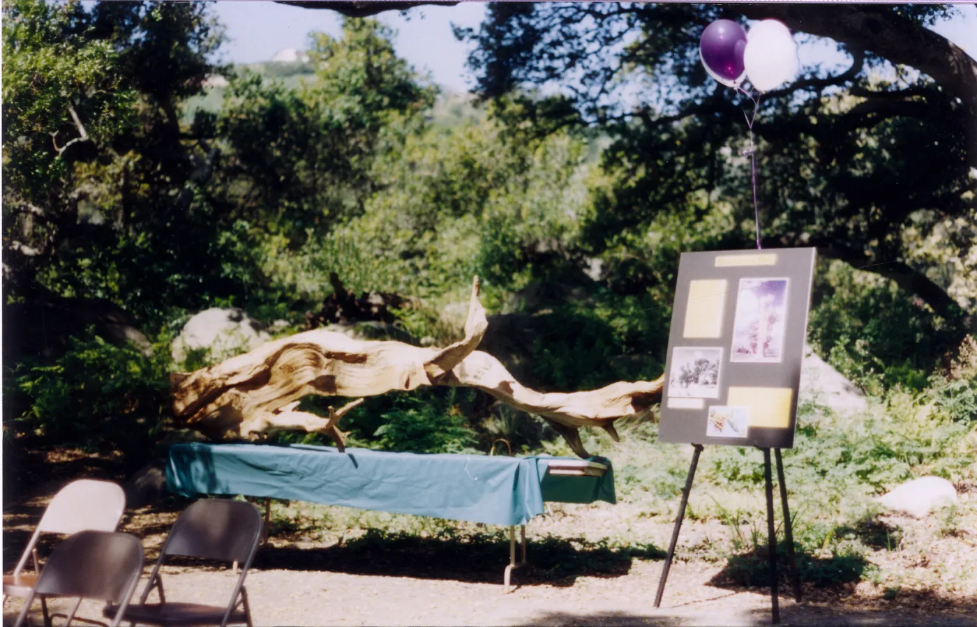 70th Birthday, 1996
