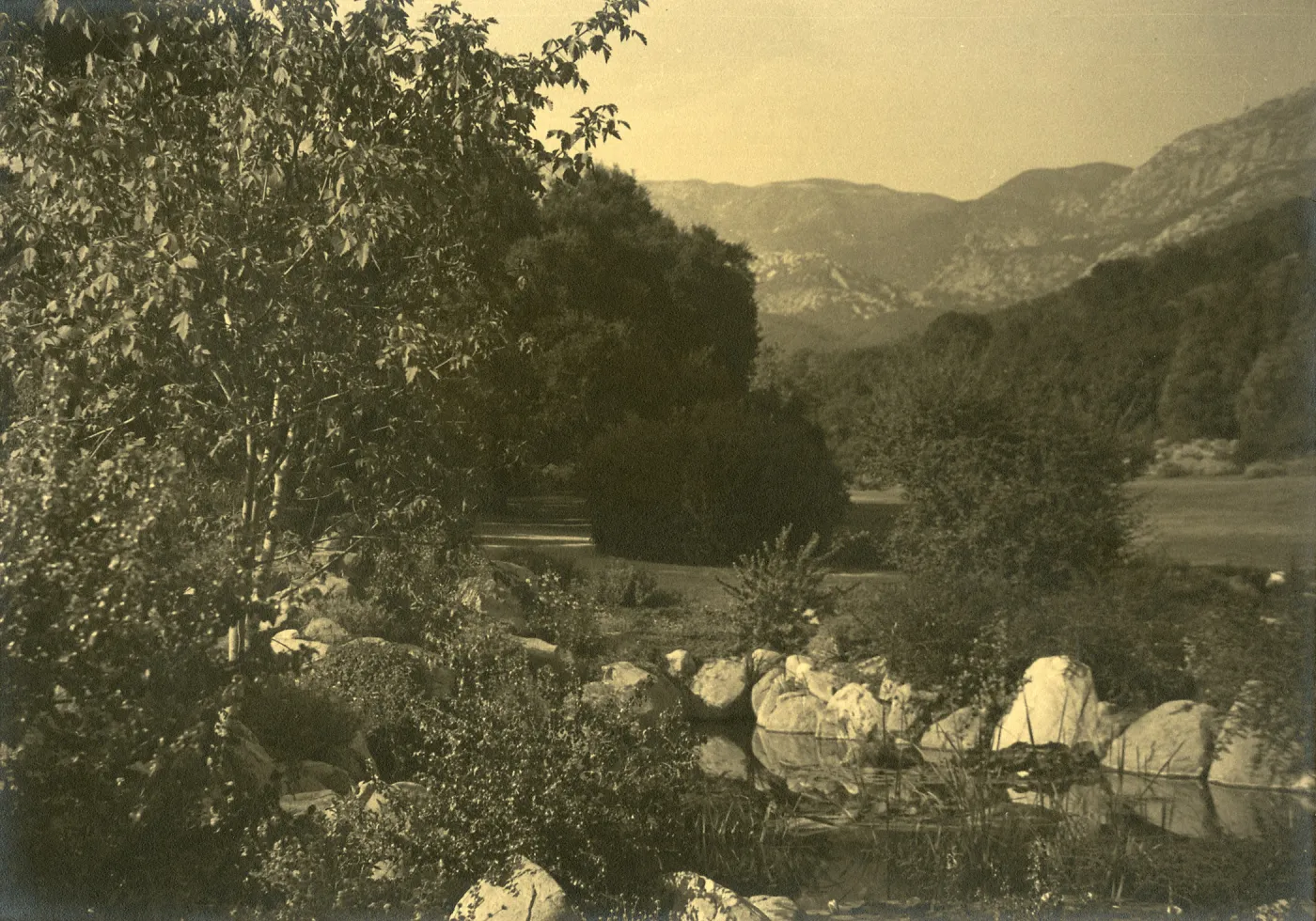 View across pool from Information Center