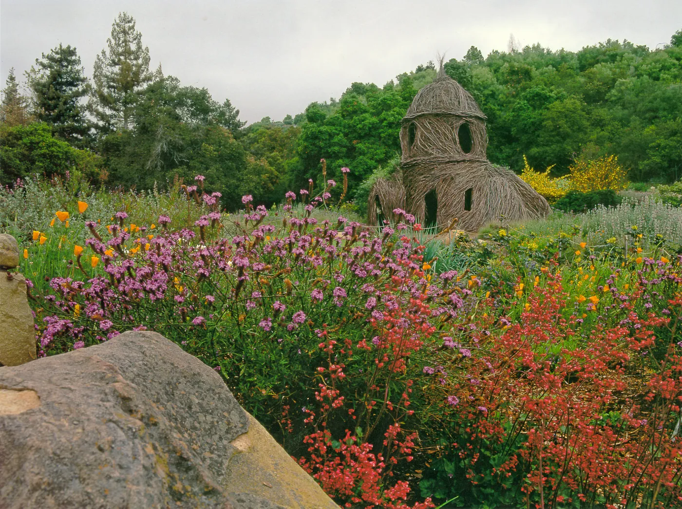 Toad Hall