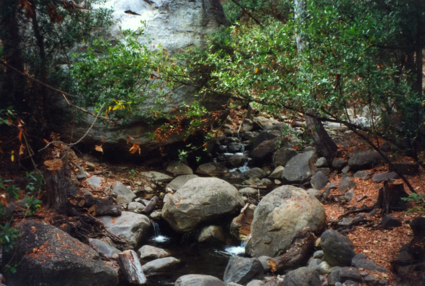 Christmas card photo, to Bob from Jean Haywood