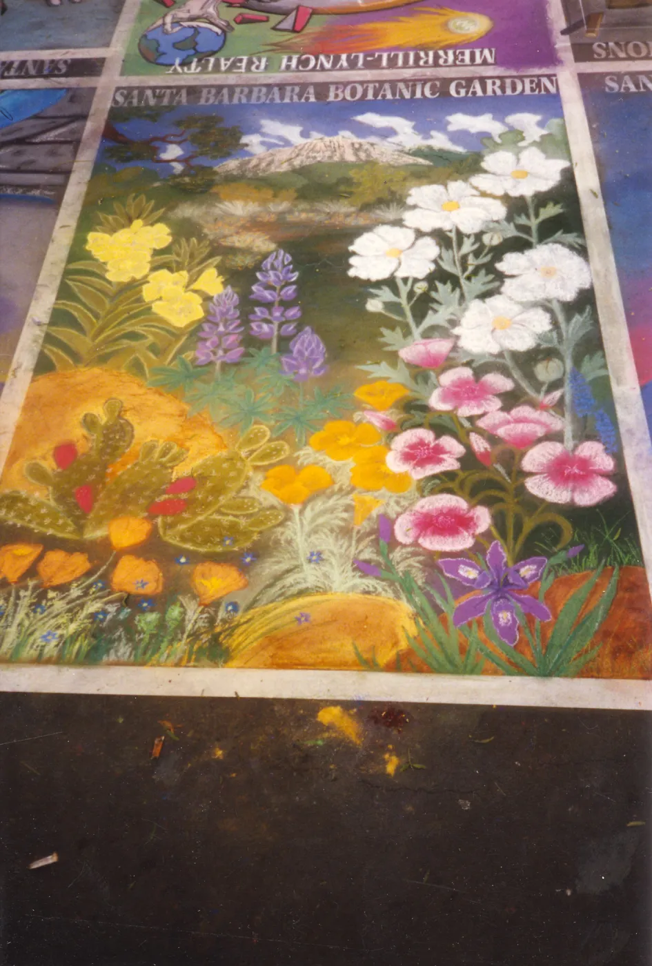 I Madonnari Street Painting Festival, Garden Square, artist: Shari Smith