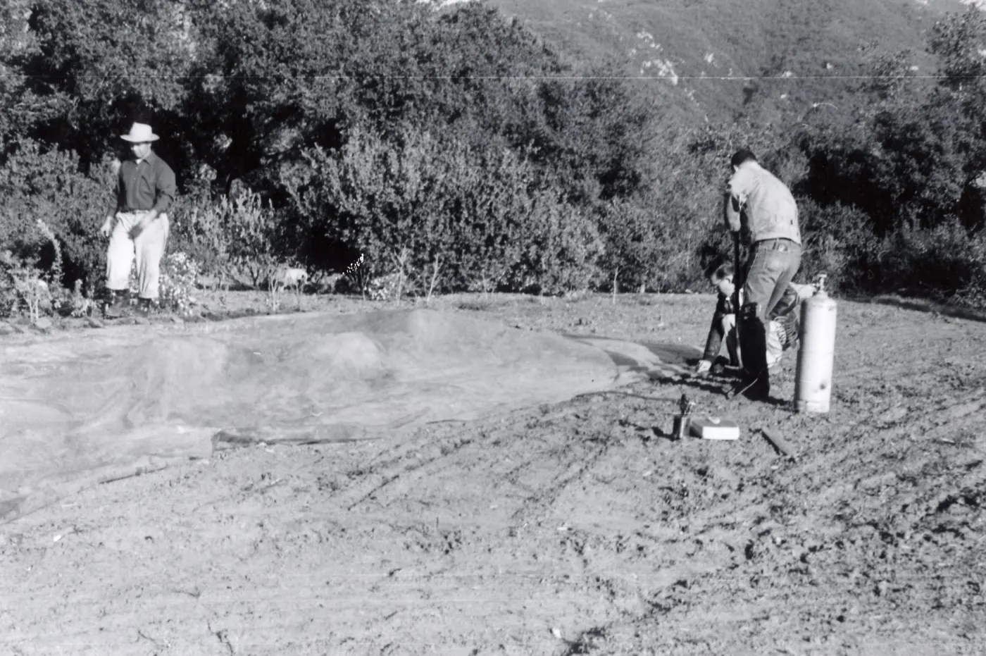 Miscellaneous Ground Work, members of the grounds crew spread a plastic tarp and weight down its edges preparatory to releasing Methyl Bromide gas beneath it, Fall, 1954