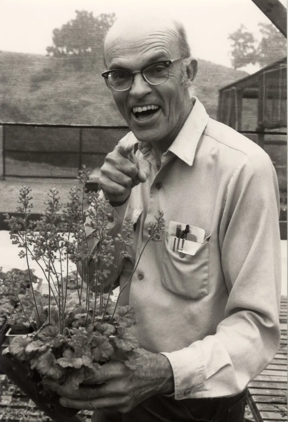 Dara Emery, Spring, 1983