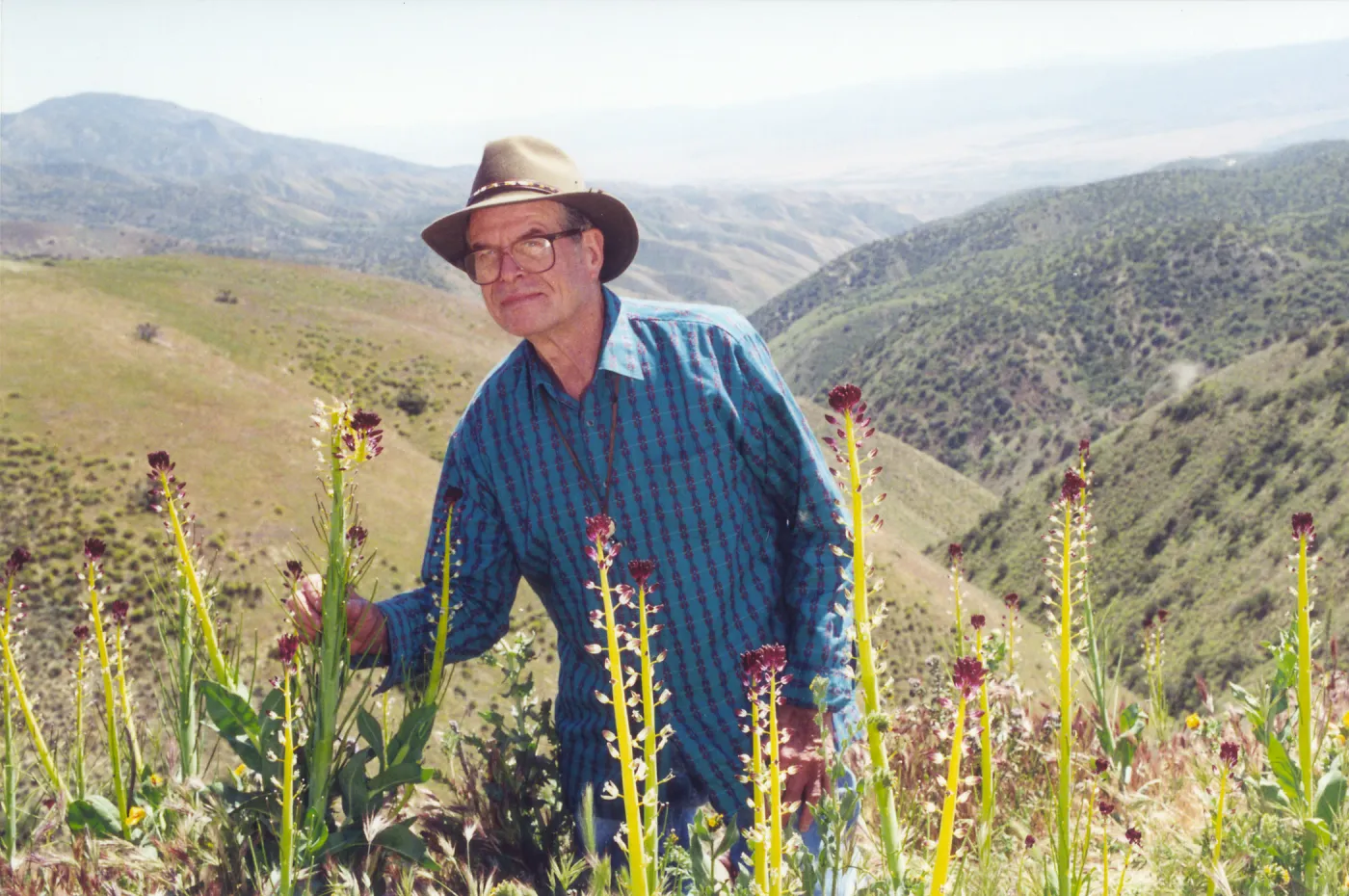 Clif Smith on his knees to one of his favorite flowers, Desert Candle, Caliente Range
